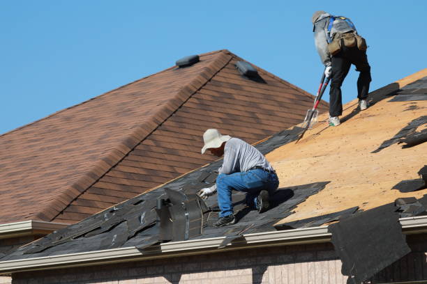 Best Roof Insulation Installation  in Blountstown, FL